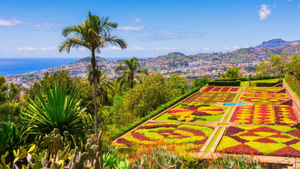 Madeira - TVI PASS